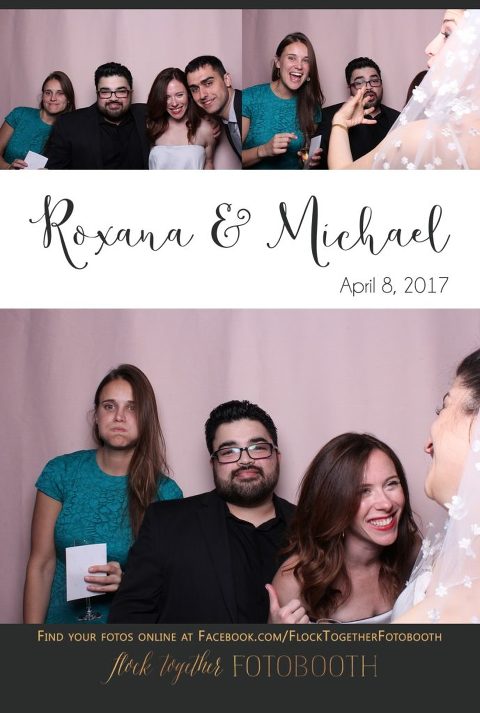 blush photo booth backdrop